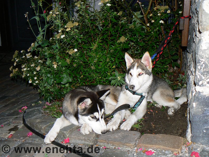 Mittelaltermark_Altena_2011 (13).jpg